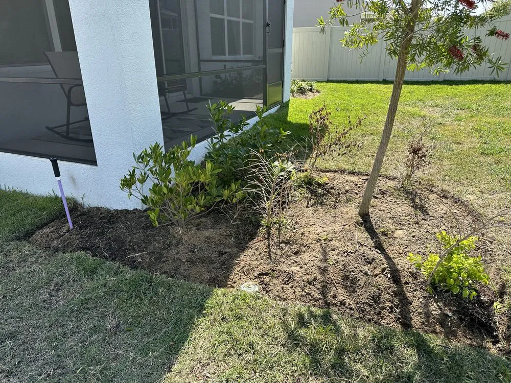 Trusted yard cleanup service in Mascotte, FL - Outdoor Lawn & Landscape