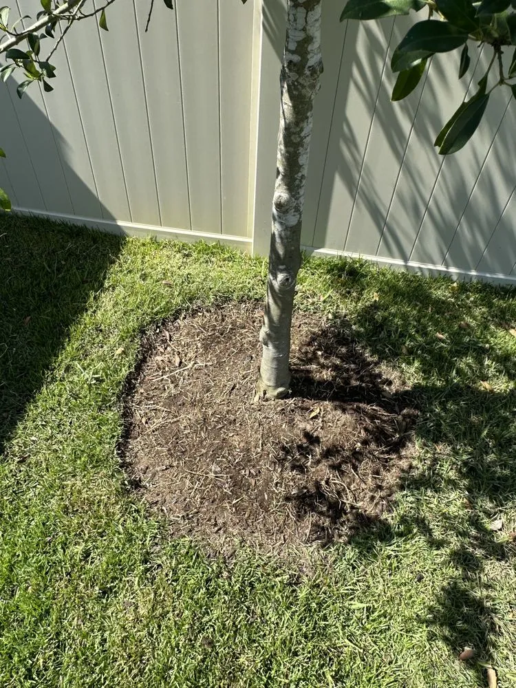 Custom yard maintenance experts serving Mascotte, FL - Outdoor Lawn & Landscape