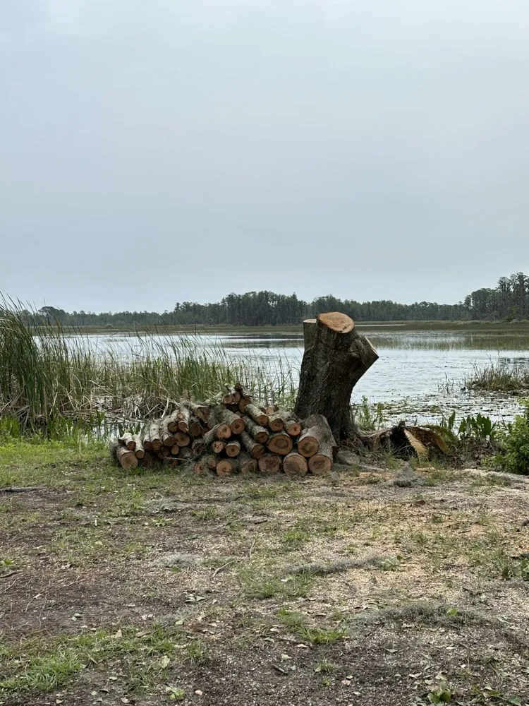 Affordable landscape installation for homes across Mascotte, FL - Outdoor Lawn & Landscape