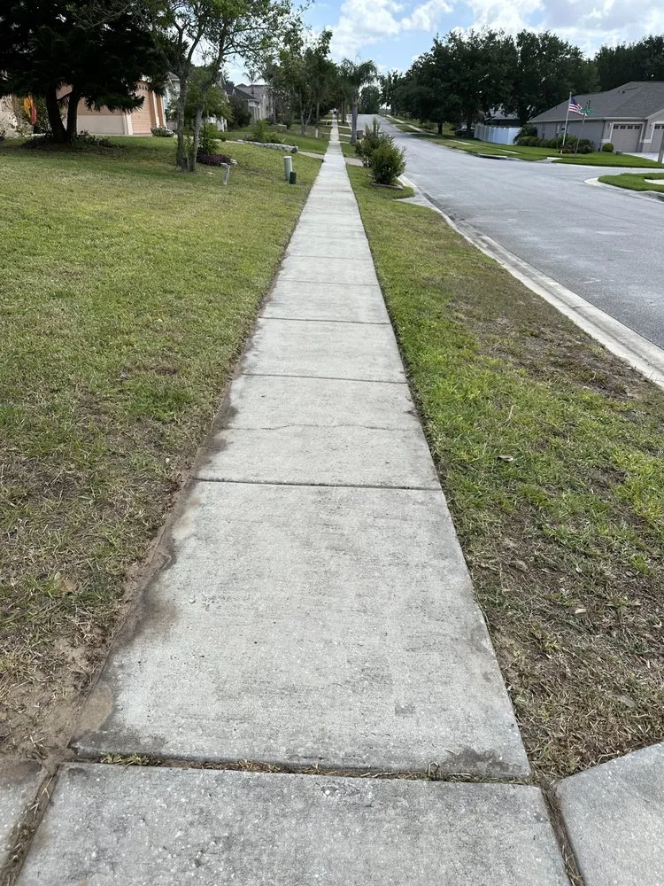 Affordable landscape design in Mascotte, FL - Outdoor Lawn & Landscape