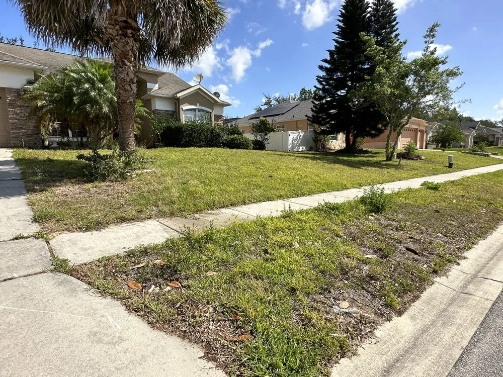 Top-rated lawn care service for outdoor upgrades in Mascotte, FL by Outdoor Lawn & Landscape