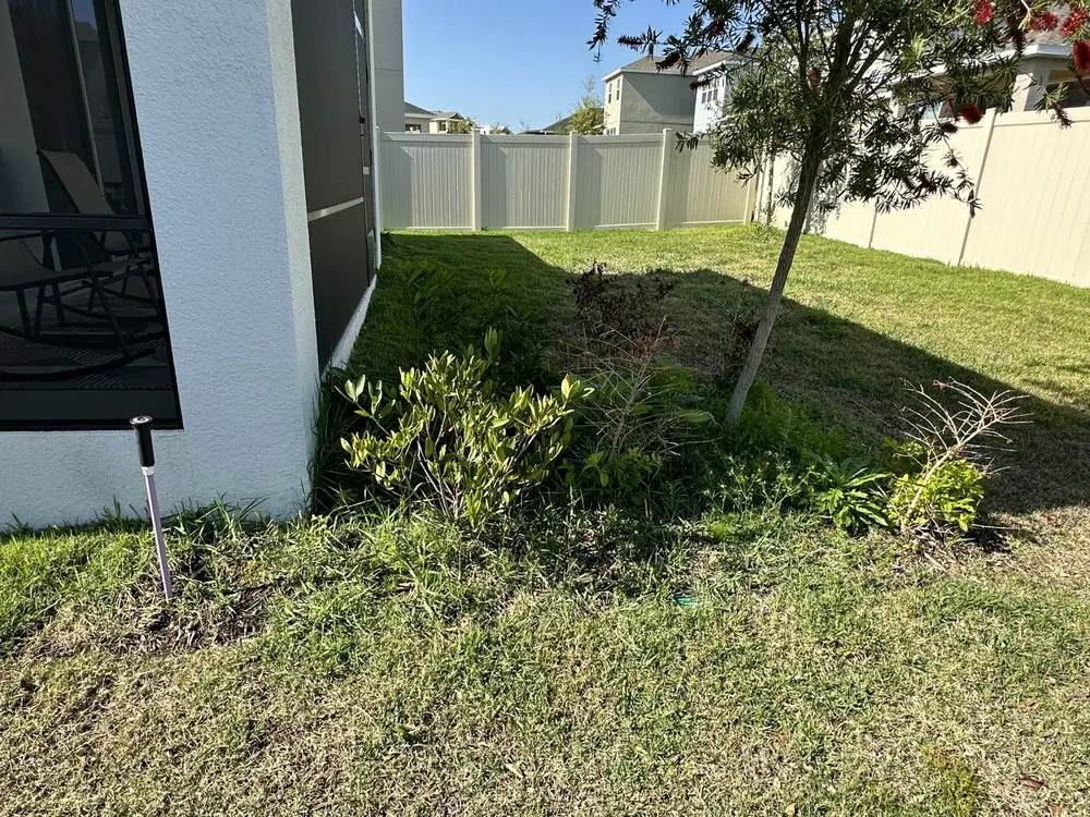 Custom landscape design in Mascotte, FL - Outdoor Lawn & Landscape