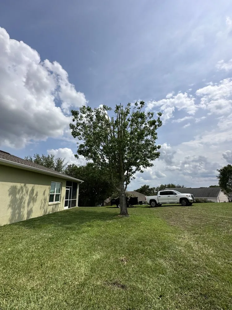 Top-rated lawn care service in Mascotte, FL by Outdoor Lawn & Landscape