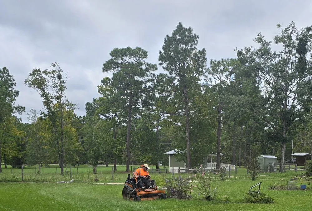 Professional landscaping services in Fort McCoy, FL - Outdoor Lawn Experts