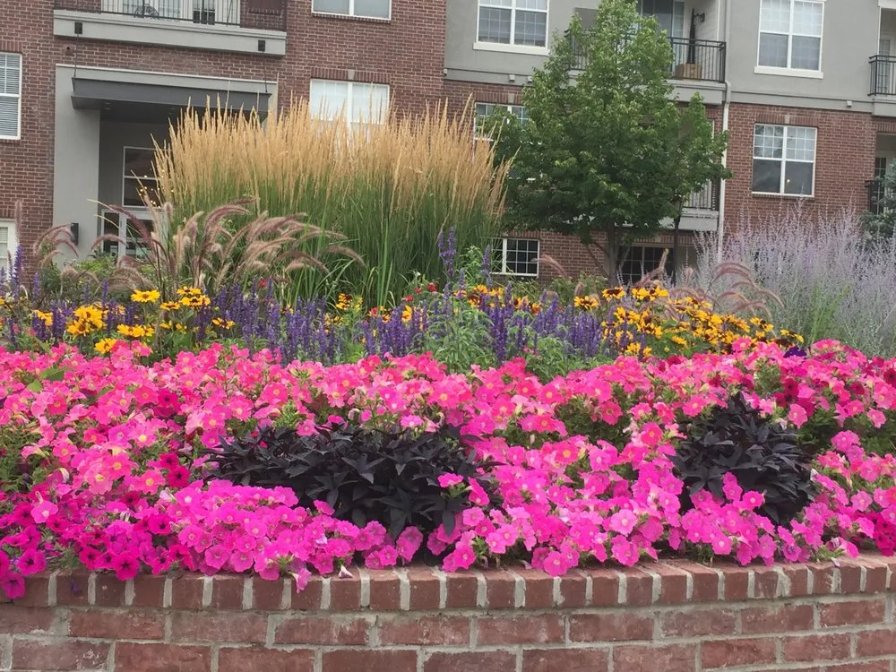 Expert residential landscaping in Centennial, CO - Outdoor Legacy