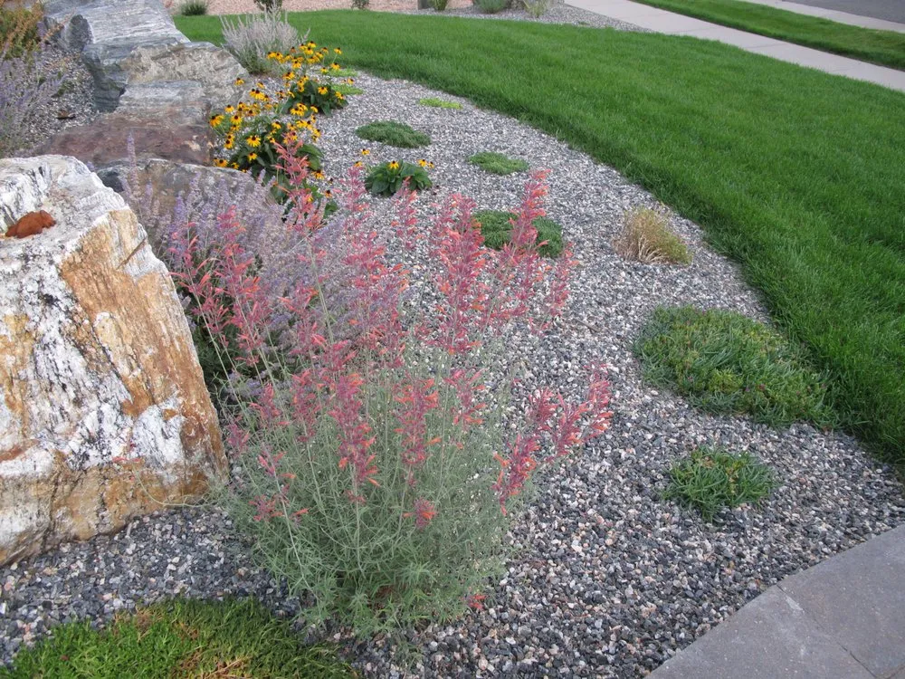 Local yard cleanup service in Arvada, CO - Outdoor Lifestyles