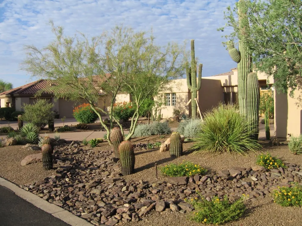 Custom landscaping services in Scottsdale, AZ by Outdoor Lifestyles by Par