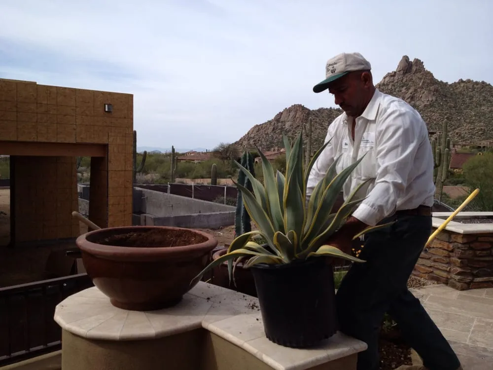Expert landscape installation near you in Scottsdale, AZ by Outdoor Lifestyles by Par