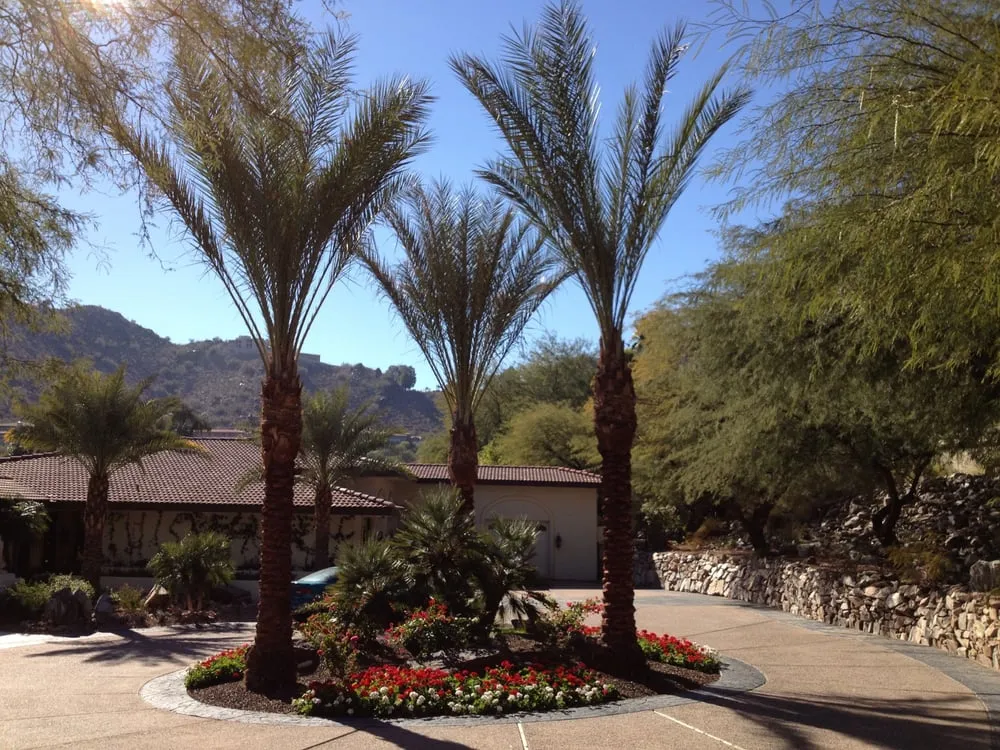 Reliable landscape design for residential properties across Scottsdale, AZ - Outdoor Lifestyles by Par