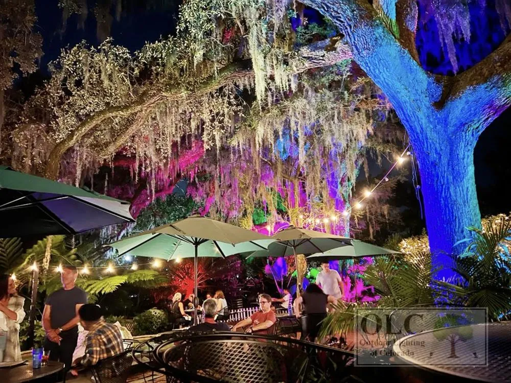 Custom yard maintenance for year-round maintenance in Windsor, CO by Outdoor Lighting of Colorado