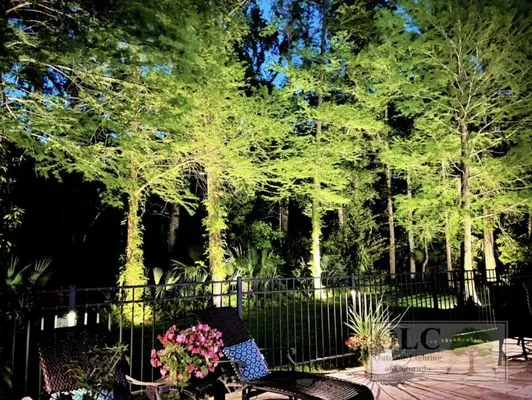 Outdoor Lighting of Colorado Logo