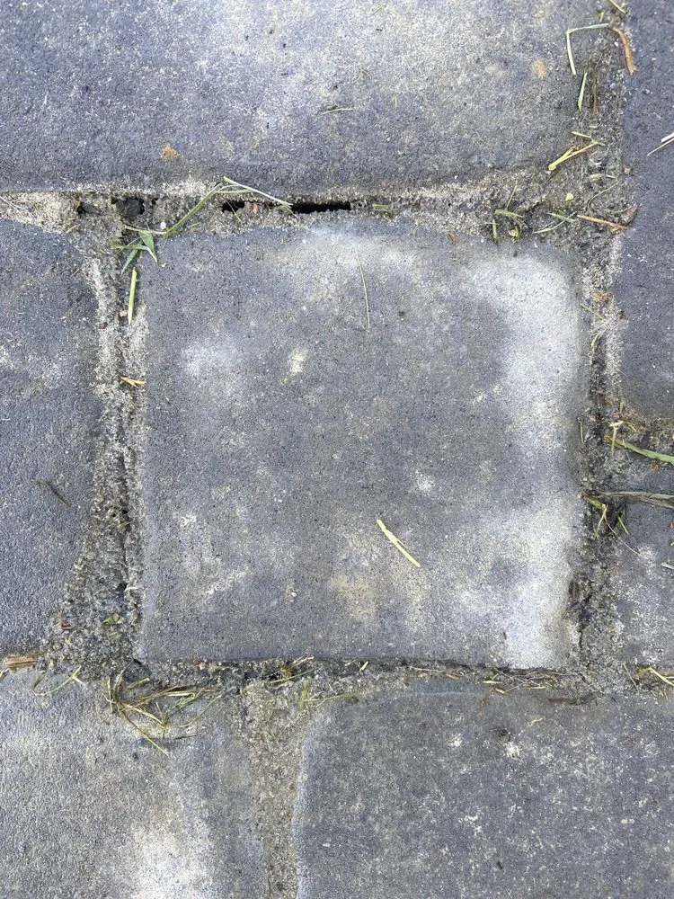 Trusted garden landscaping in Chesapeake, VA by Outdoor Living by Christian Basnight