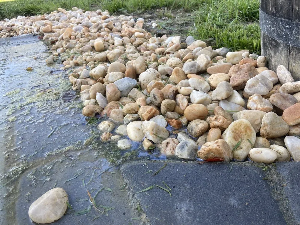 Top-rated lawn mowing service for homes across Chesapeake, VA - Outdoor Living by Christian Basnight