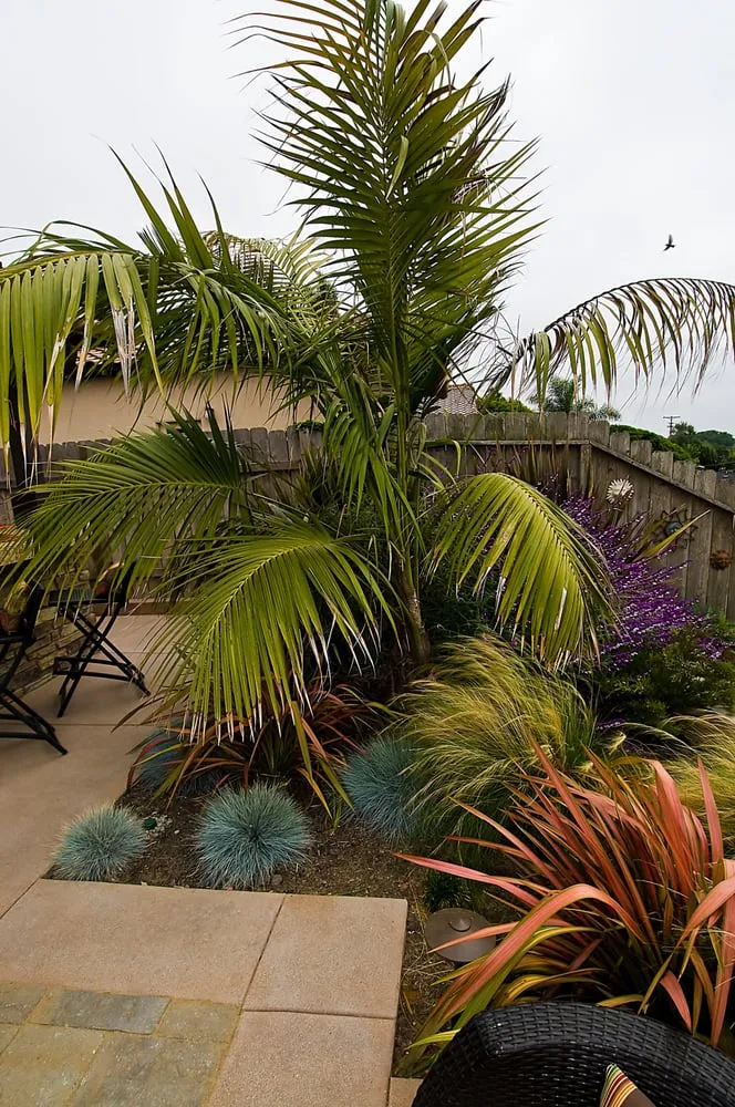 Affordable residential landscaping near you in Bonsall, CA by Outdoor Living Creations