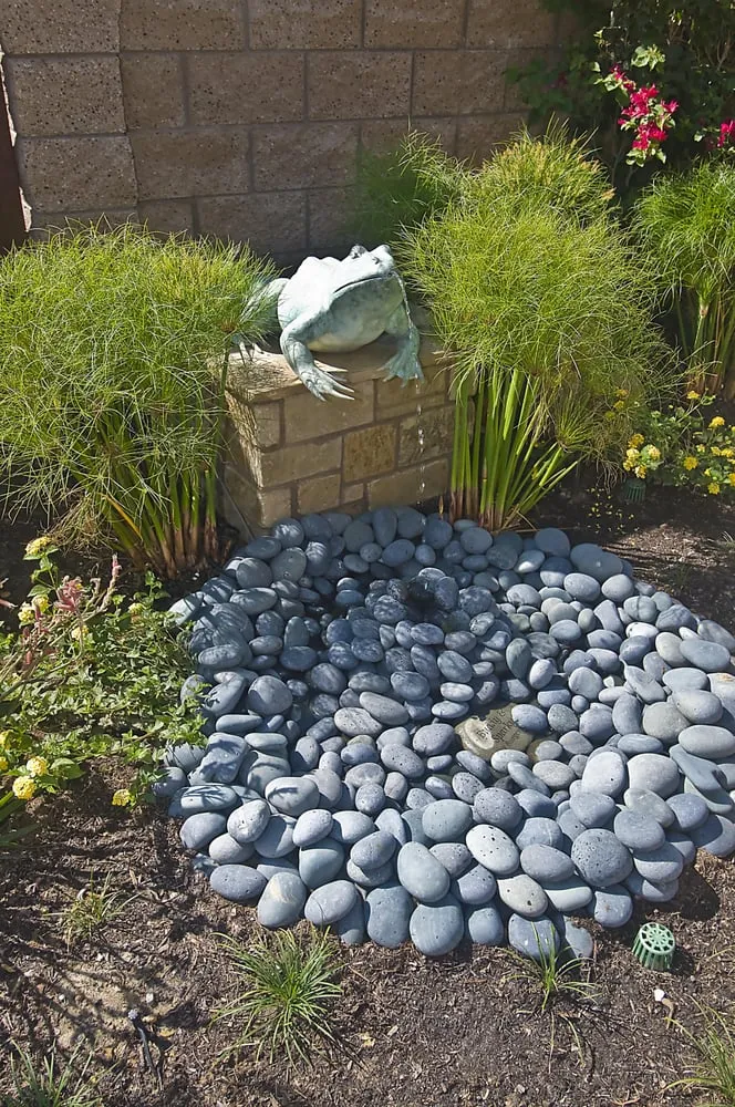 Expert outdoor landscaping for beautiful yards across Bonsall, CA - Outdoor Living Creations