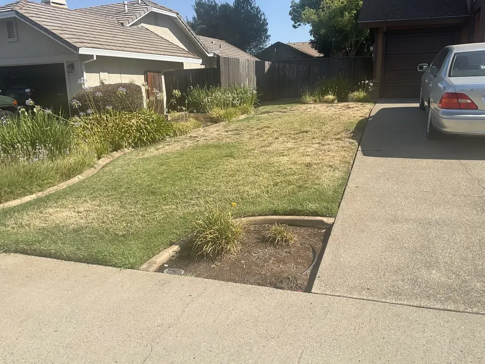 Custom yard cleanup service for residential properties in Rancho Cordova, CA by Outdoor Living Landscapes