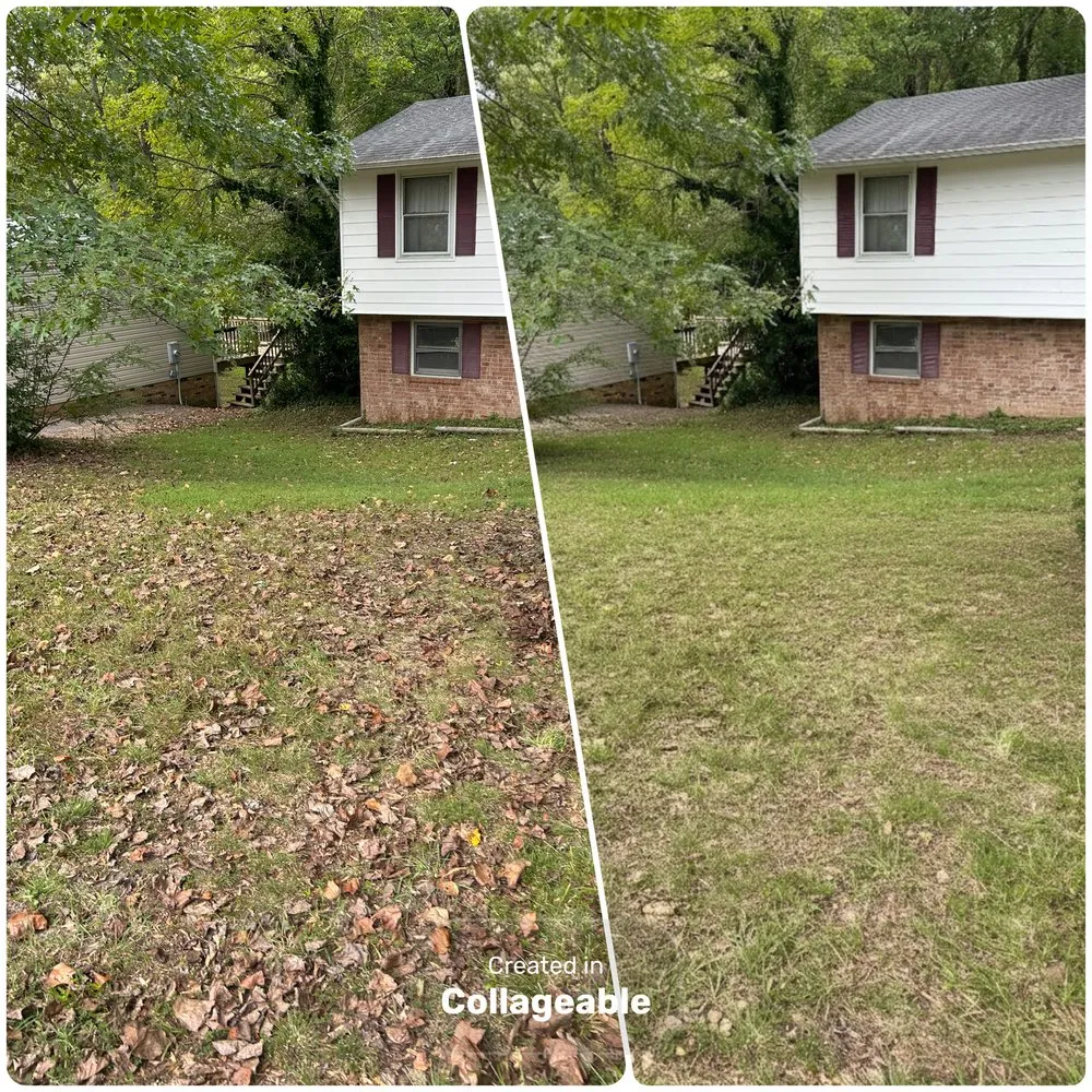 Top-rated garden landscaping experts serving Bon Air, VA - Outdoor Oasis