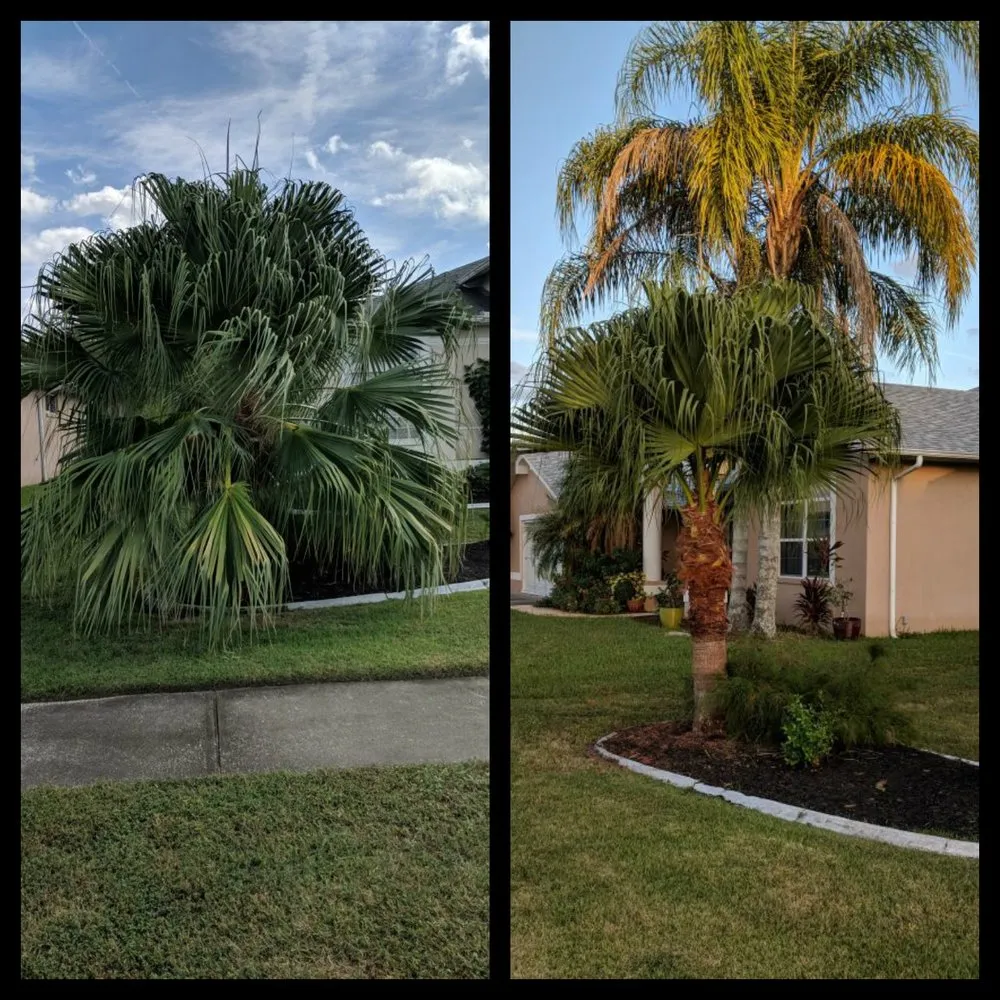 Trusted yard cleanup service in Port Richey, FL - Outdoor Oasis Creations, LLC