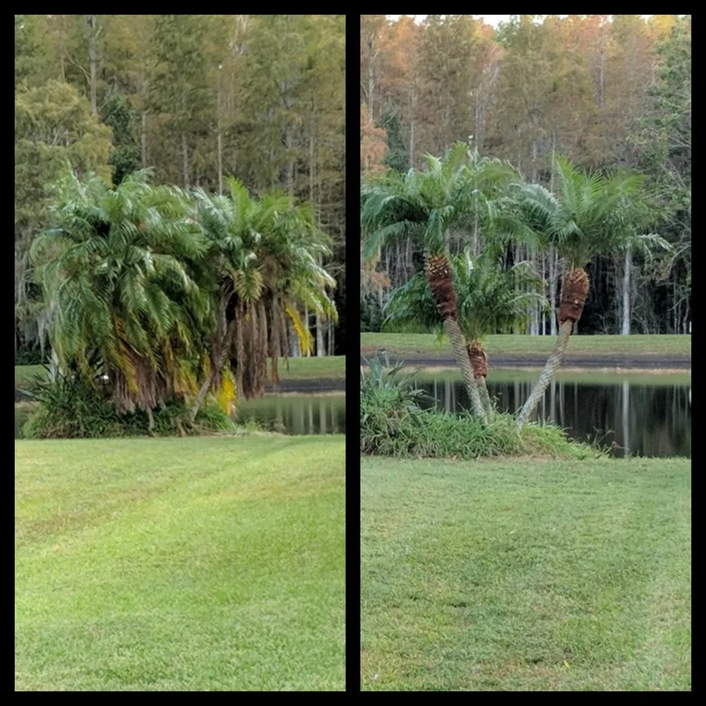 Top-rated yard cleanup service for residential properties in Port Richey, FL by Outdoor Oasis Creations, LLC