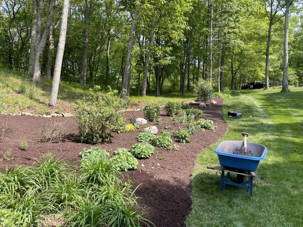 Trusted landscape design in Madison, CT - Outdoor Oasis EV