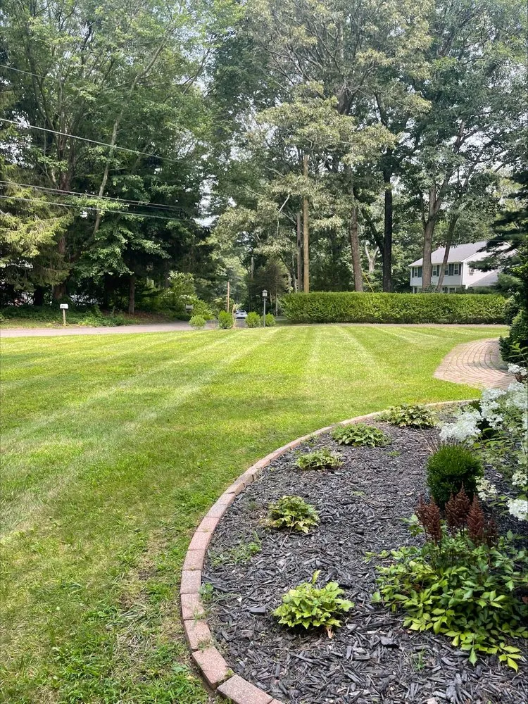Reliable yard maintenance in Madison, CT by Outdoor Oasis EV