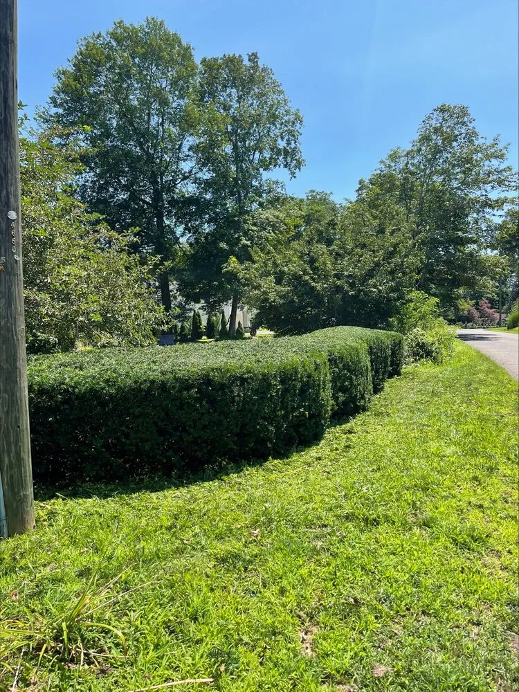 Affordable lawn care service in Madison, CT - Outdoor Oasis EV