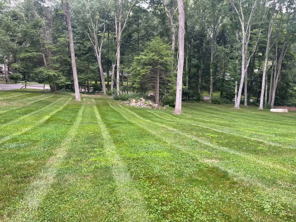 Affordable yard cleanup service experts serving Madison, CT - Outdoor Oasis EV