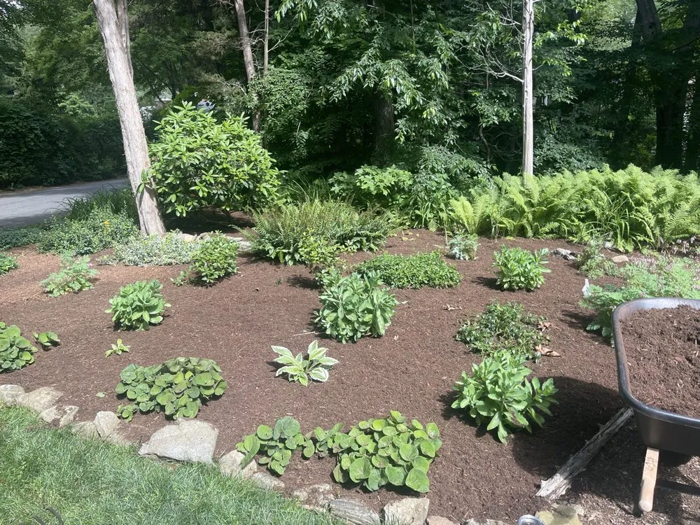 Reliable garden landscaping in Madison, CT - Outdoor Oasis EV