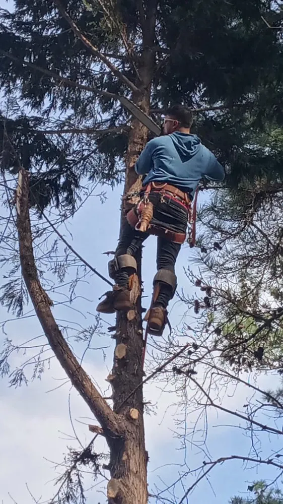 Expert residential landscaping in Janesville, WI - Outdoor Oasis Landscaping & Tree service