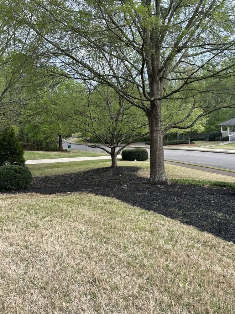 Affordable landscape installation experts serving Janesville, WI - Outdoor Oasis Landscaping & Tree service