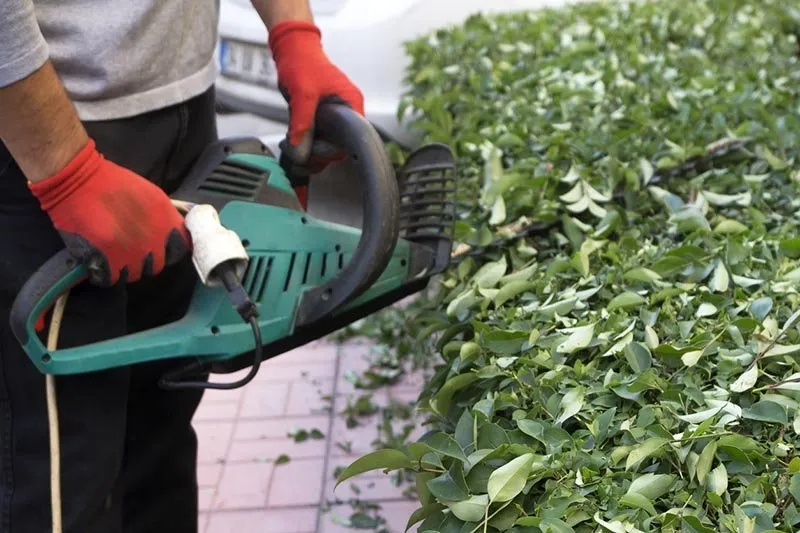 Expert residential landscaping for residential properties in Janesville, WI by Outdoor Oasis Landscaping & Tree service