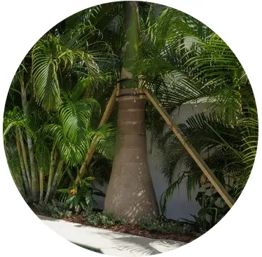 Professional landscaping services for residential properties across Palmetto, FL - Outdoor Oasis Pro