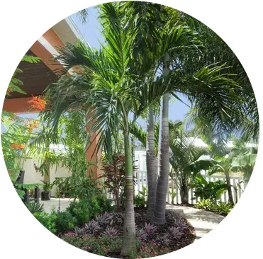 Reliable landscape design experts serving Palmetto, FL - Outdoor Oasis Pro