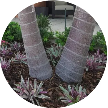 Custom lawn care service in Palmetto, FL by Outdoor Oasis Pro