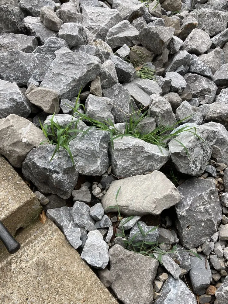 Top-rated garden landscaping experts serving Clarksville, TN - Outdoor Options