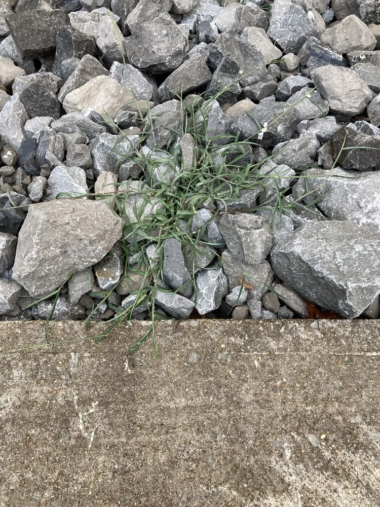 Top-rated landscape design experts serving Clarksville, TN - Outdoor Options