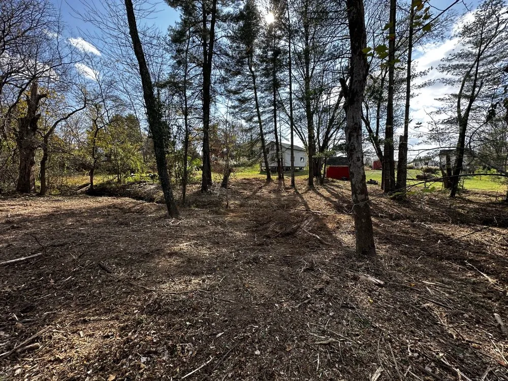 Affordable yard maintenance for outdoor upgrades across Mcclure, PA - Outdoor Organics