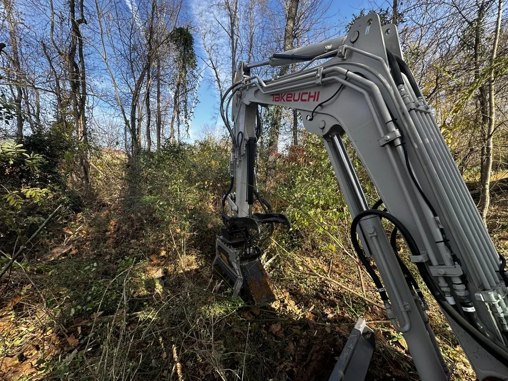 Top-rated yard cleanup service experts serving Mcclure, PA - Outdoor Organics