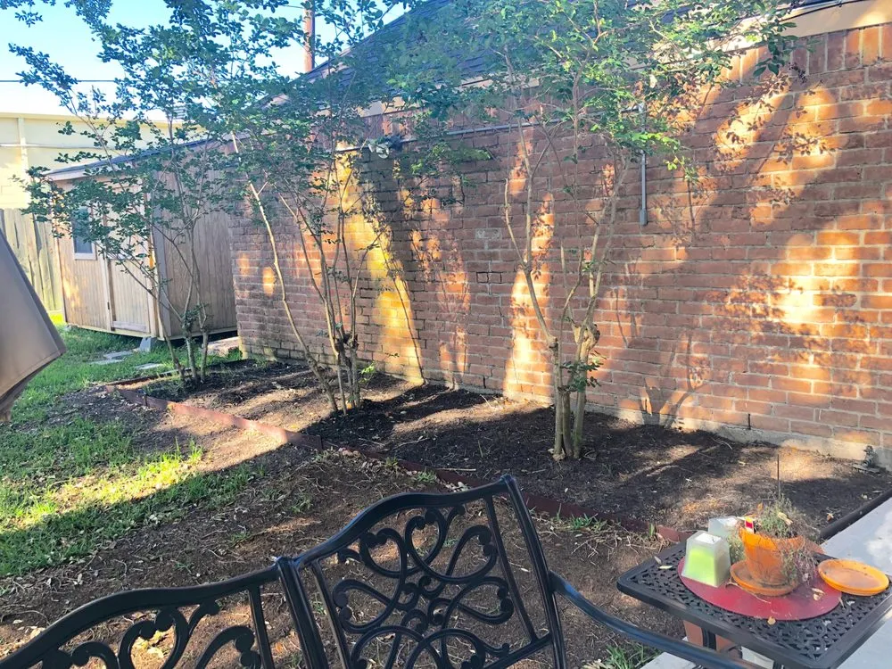 Affordable lawn mowing service for year-round maintenance in Stafford, TX by Outdoor Problem