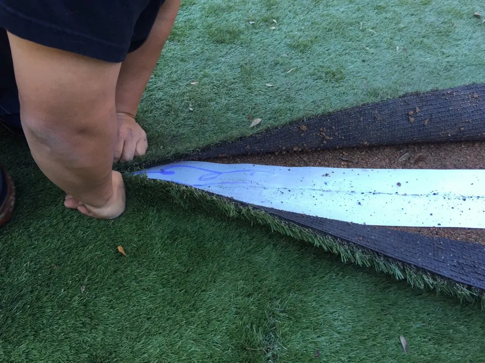 Custom lawn care service in Stafford, TX - Outdoor Problem