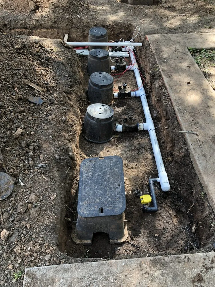 Expert yard maintenance in Stafford, TX - Outdoor Problem