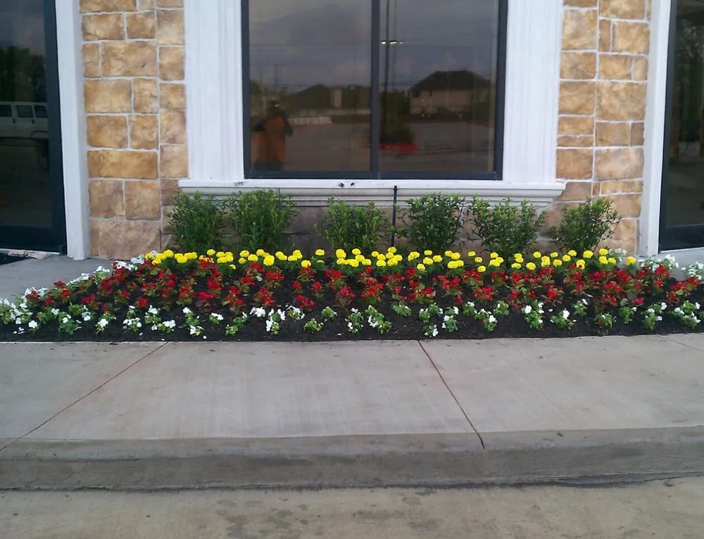 Top-rated yard maintenance in Stafford, TX by Outdoor Problem