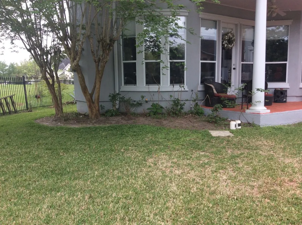 Expert landscaping services in Stafford, TX - Outdoor Problem