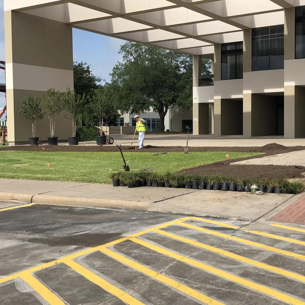 Top-rated yard cleanup service experts serving Stafford, TX - Outdoor Problem