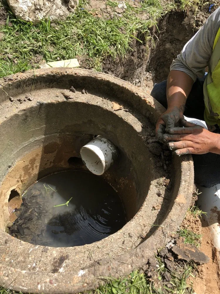 Top-rated residential landscaping for year-round maintenance across Stafford, TX - Outdoor Problem