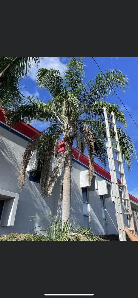 Affordable yard cleanup service in Eustis, FL by Outdoor professions