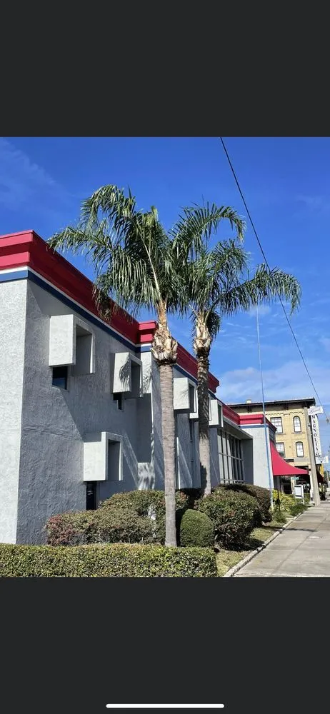 Local landscaping services in Eustis, FL - Outdoor professions