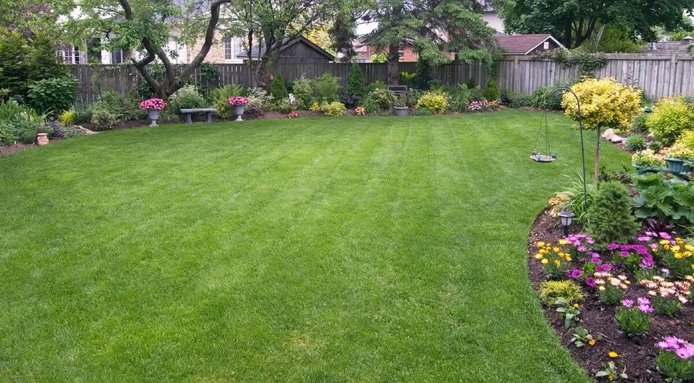Top-rated lawn care service for beautiful yards across Fort Wayne, IN - Outdoor Property Management