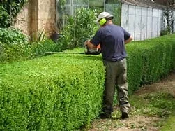 Custom yard cleanup service in Groton, CT by Outdoor Property Services