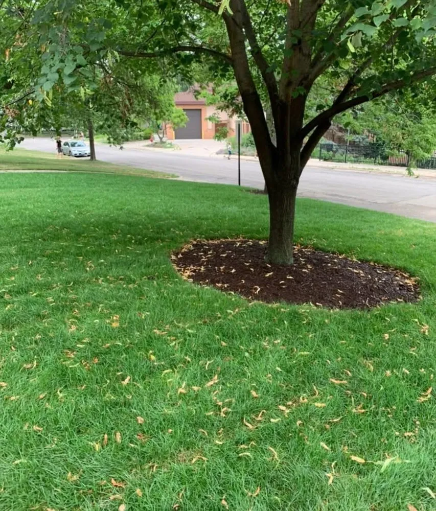 Reliable lawn care service experts serving Woodbury, MN - Outdoor Property Solutions